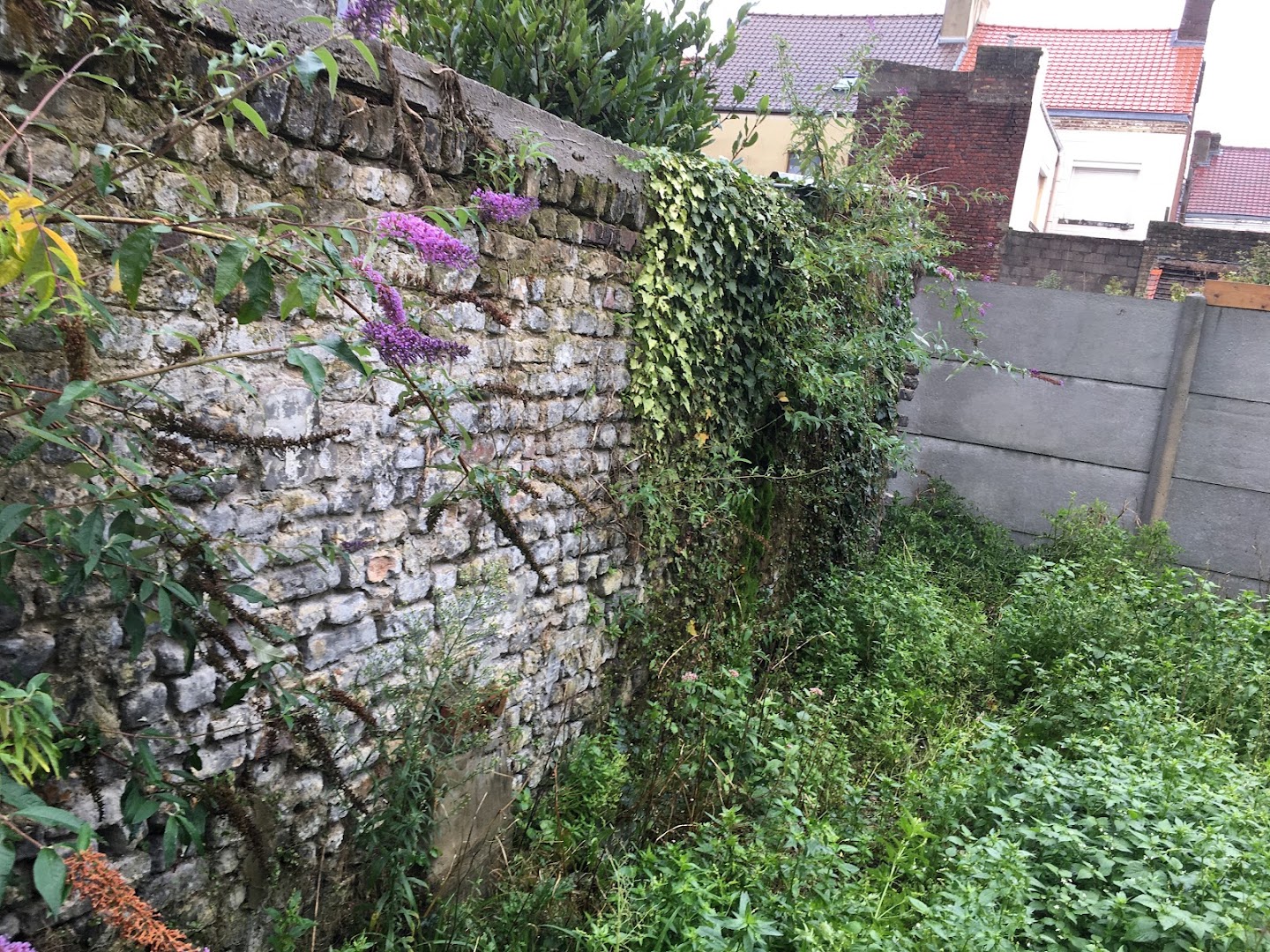 SC Rénovation · Photos 7